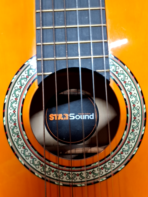 Guitar
